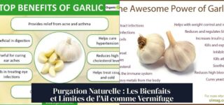 Purgation Naturelle : Les Bienfaits et Limites de l'Ail comme Vermifuge