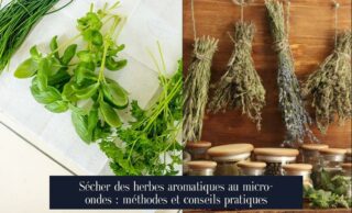 Sécher des herbes aromatiques au micro-ondes : méthodes et conseils pratiques