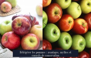 Réfrigérer les pommes : avantages, mythes et conseils de conservation
