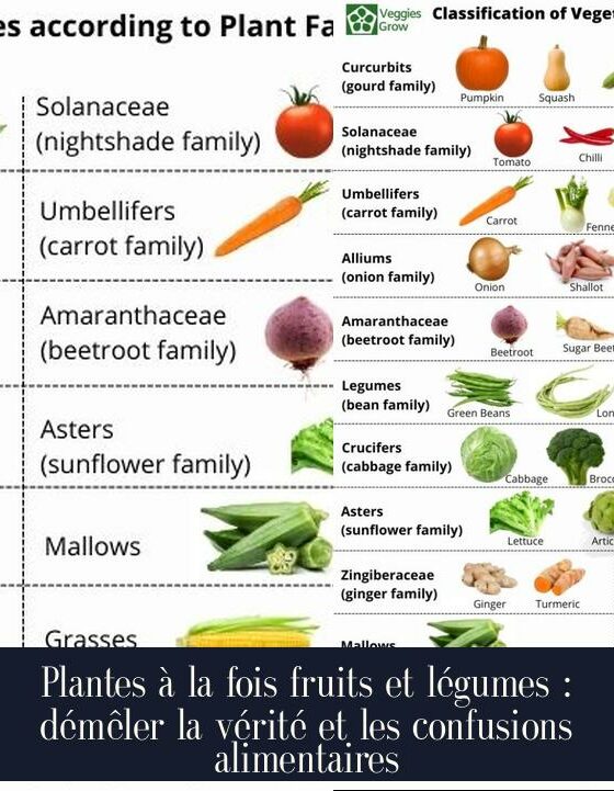 Plantes à la fois fruits et légumes : démêler la vérité et les confusions alimentaires