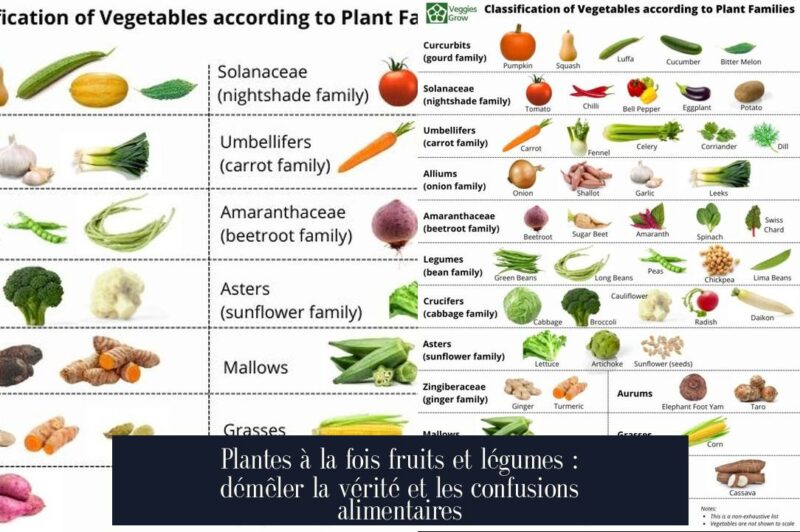 Plantes à la fois fruits et légumes : démêler la vérité et les confusions alimentaires