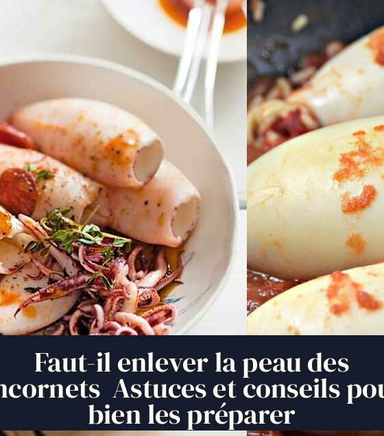 Faut-il enlever la peau des encornets Astuces et conseils pour bien les préparer