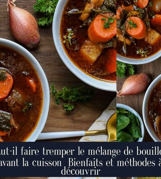 Faut-il faire tremper le mélange de bouillon avant la cuisson Bienfaits et méthodes à découvrir