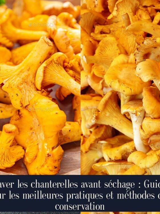 Laver les chanterelles avant séchage : Guide sur les meilleures pratiques et méthodes de conservation