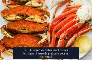 Faut-il purger les crabes avant cuisson Avantages et conseils pratiques pour un plat réussi.
