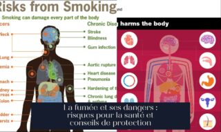 La fumée et ses dangers : risques pour la santé et conseils de protection