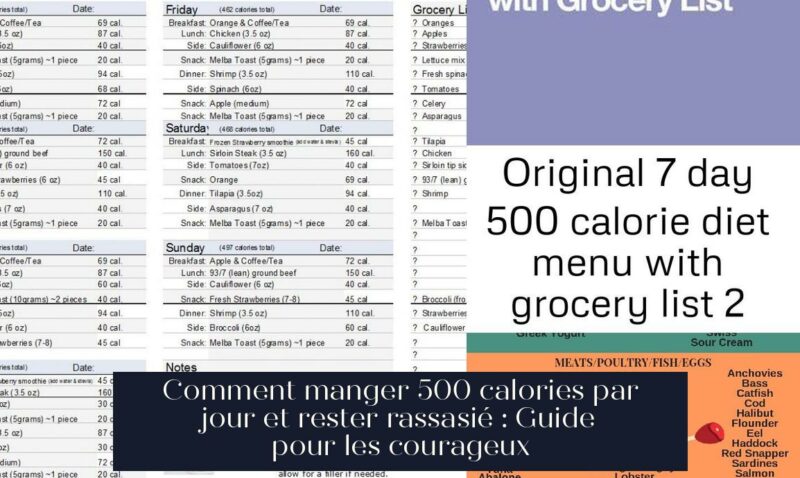 Comment manger 500 calories par jour et rester rassasié : Guide pour les courageux