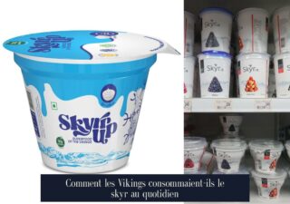 Comment les Vikings consommaient-ils le skyr au quotidien