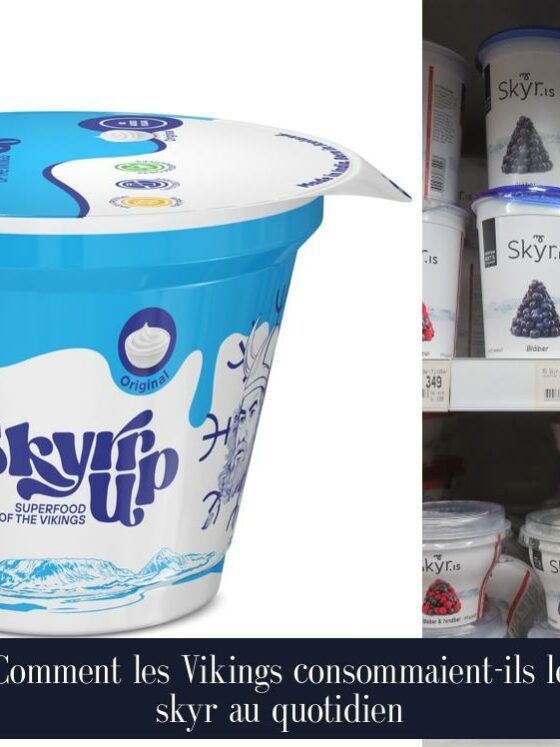 Comment les Vikings consommaient-ils le skyr au quotidien