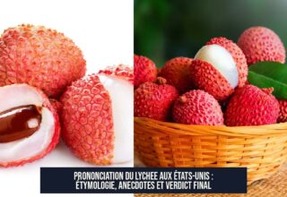 Prononciation du lychee aux États-Unis : étymologie, anecdotes et verdict final