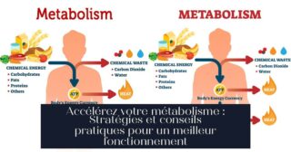 Accélérez votre métabolisme : Stratégies et conseils pratiques pour un meilleur fonctionnement