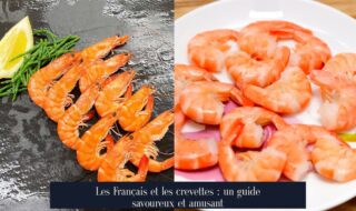 Les Français et les crevettes : un guide savoureux et amusant