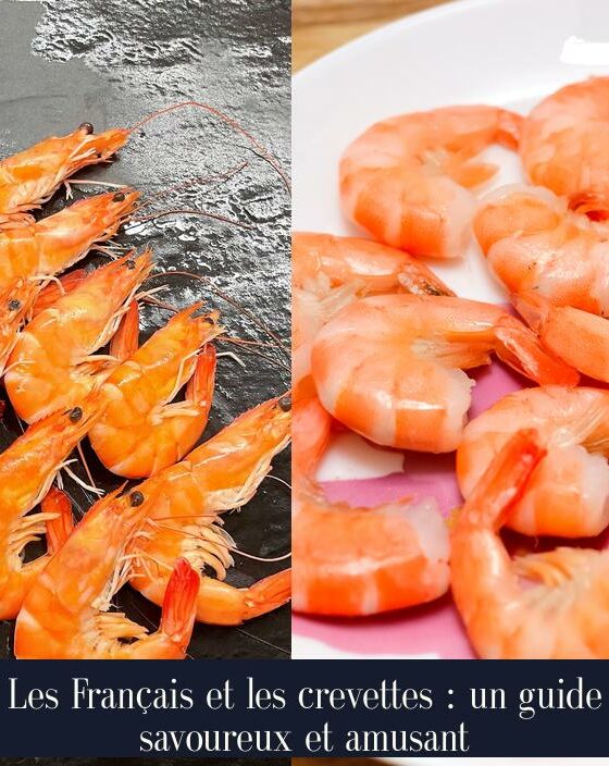 Les Français et les crevettes : un guide savoureux et amusant