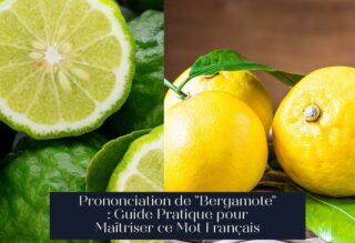 Prononciation de "Bergamote" : Guide Pratique pour Maîtriser ce Mot Français