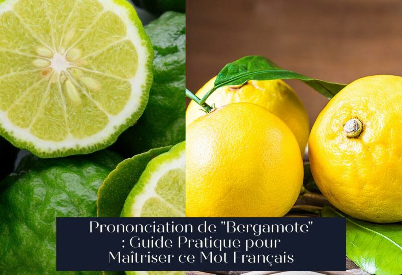 Prononciation de "Bergamote" : Guide Pratique pour Maîtriser ce Mot Français