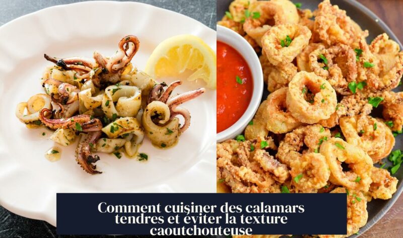 Comment cuisiner des calamars tendres et éviter la texture caoutchouteuse