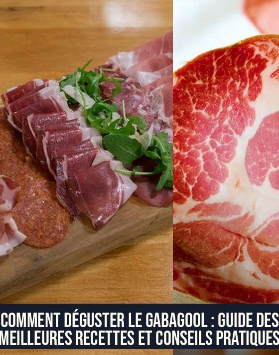 Comment déguster le Gabagool : Guide des meilleures recettes et conseils pratiques