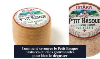 Comment savourer le Petit Basque : astuces et idées gourmandes pour bien le déguster