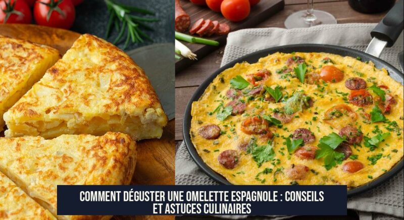 Comment déguster une omelette espagnole : conseils et astuces culinaires