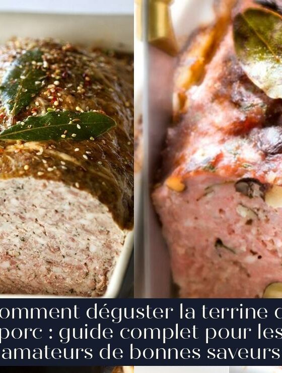 Comment déguster la terrine de porc : guide complet pour les amateurs de bonnes saveurs
