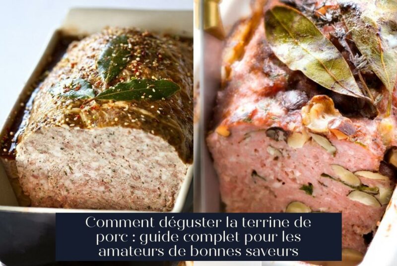 Comment déguster la terrine de porc : guide complet pour les amateurs de bonnes saveurs