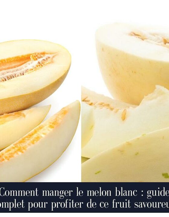 Comment manger le melon blanc : guide complet pour profiter de ce fruit savoureux