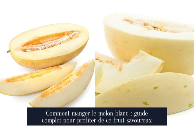 Comment manger le melon blanc : guide complet pour profiter de ce fruit savoureux