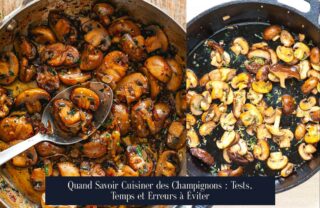 Quand Savoir Cuisiner des Champignons : Tests, Temps et Erreurs à Éviter