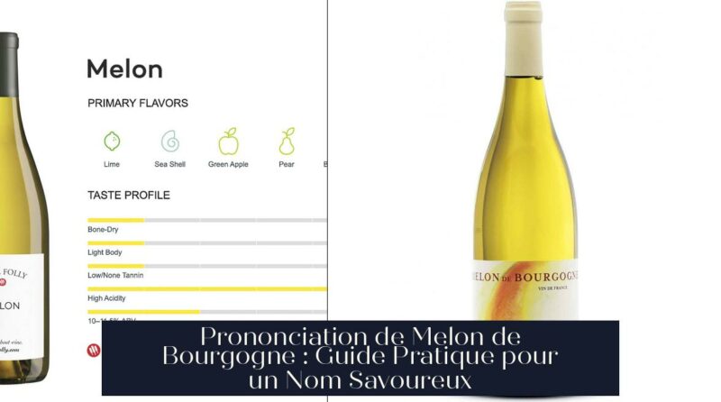 Prononciation de Melon de Bourgogne : Guide Pratique pour un Nom Savoureux