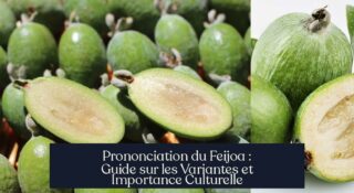Prononciation du Feijoa : Guide sur les Variantes et Importance Culturelle