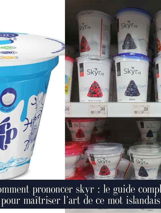 Comment prononcer skyr : le guide complet pour maîtriser l'art de ce mot islandais
