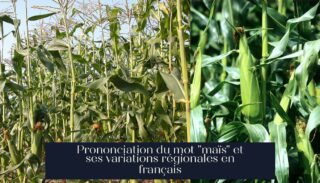 Prononciation du mot "maïs" et ses variations régionales en français