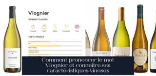 Comment prononcer le mot Viognier et connaître ses caractéristiques vinoses