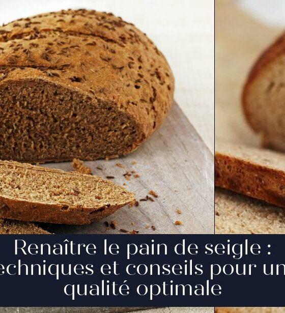 Renaître le pain de seigle : techniques et conseils pour une qualité optimale