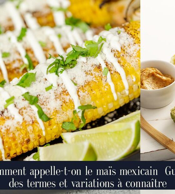 Comment appelle-t-on le maïs mexicain Guide des termes et variations à connaître
