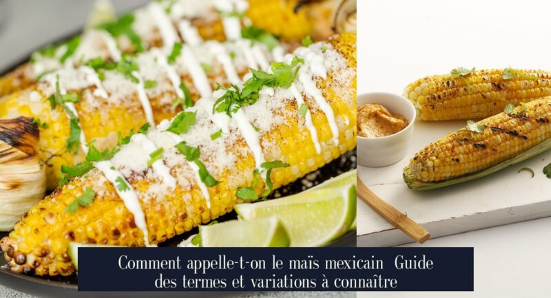 Comment appelle-t-on le maïs mexicain Guide des termes et variations à connaître