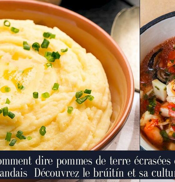 Comment dire pommes de terre écrasées en irlandais Découvrez le brúitín et sa culture.
