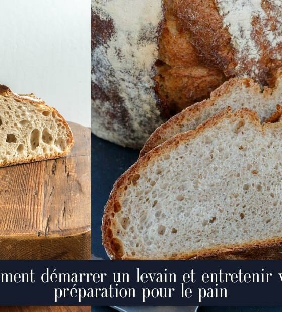 Comment démarrer un levain et entretenir votre préparation pour le pain