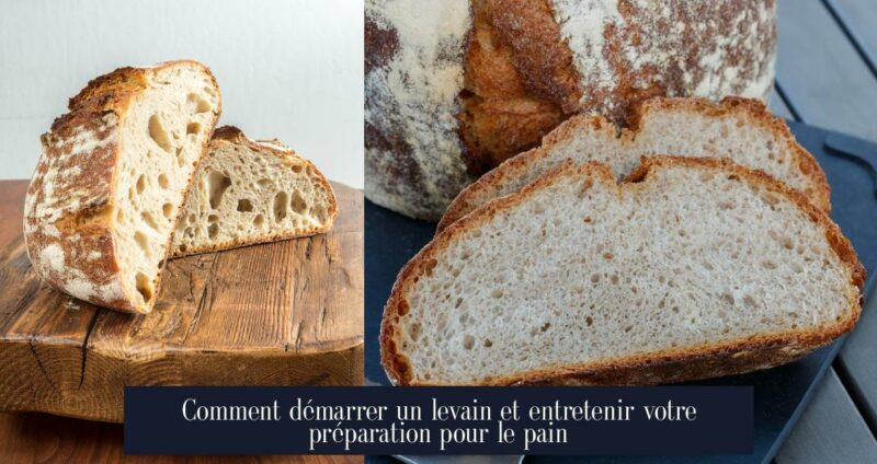 Comment démarrer un levain et entretenir votre préparation pour le pain