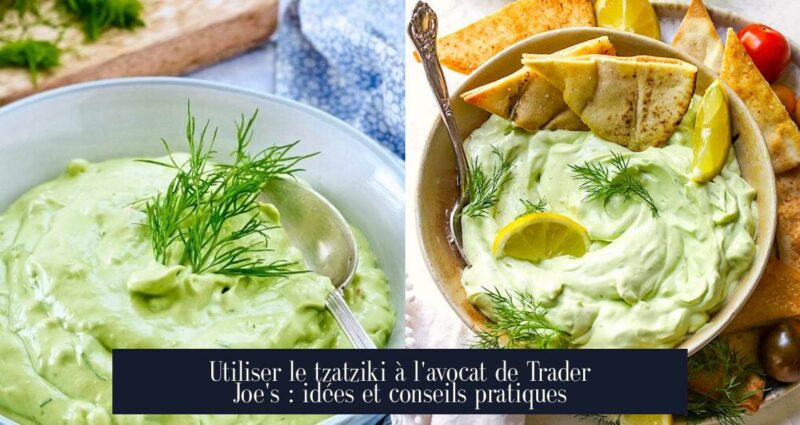 Utiliser le tzatziki à l'avocat de Trader Joe's : idées et conseils pratiques