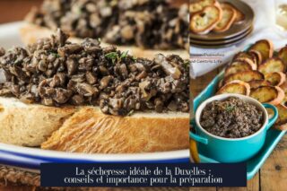 La sécheresse idéale de la Duxelles : conseils et importance pour la préparation