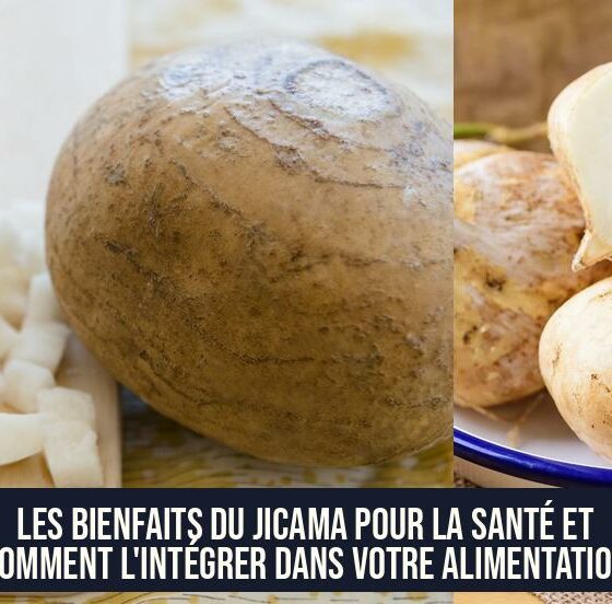 Les bienfaits du jicama pour la santé et comment l'intégrer dans votre alimentation