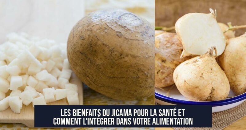 Les bienfaits du jicama pour la santé et comment l'intégrer dans votre alimentation