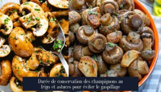 Durée de conservation des champignons au frigo et astuces pour éviter le gaspillage