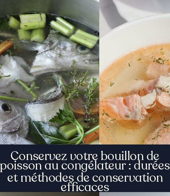 Conservez votre bouillon de poisson au congélateur : durées et méthodes de conservation efficaces