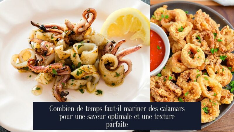Combien de temps faut-il mariner des calamars pour une saveur optimale et une texture parfaite