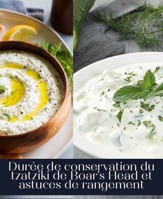 Durée de conservation du tzatziki de Boar's Head et astuces de rangement