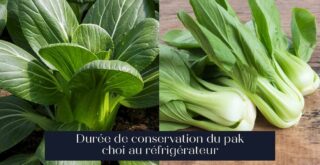 Durée de conservation du pak choi au réfrigérateur