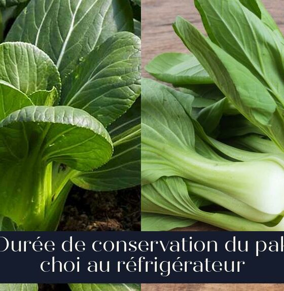 Durée de conservation du pak choi au réfrigérateur