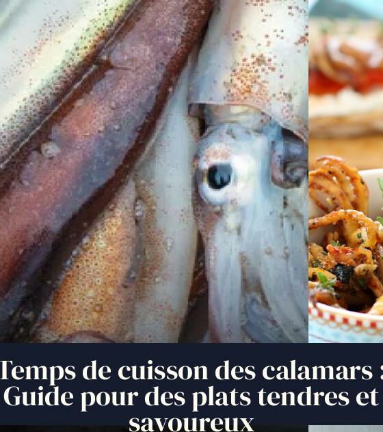 Temps de cuisson des calamars : Guide pour des plats tendres et savoureux